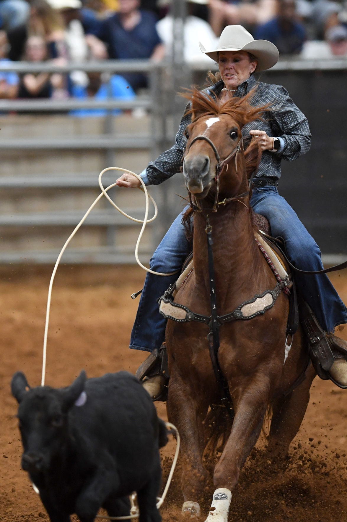 Brazos Valley Fair and Rodeo